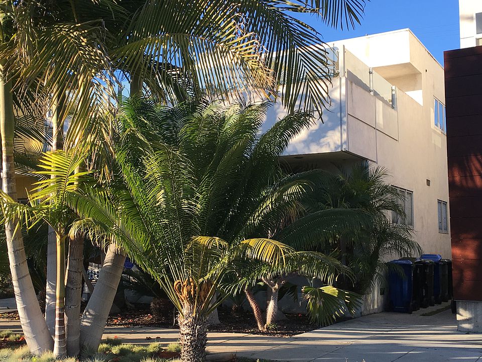2nd image of 559 Grand Blvd