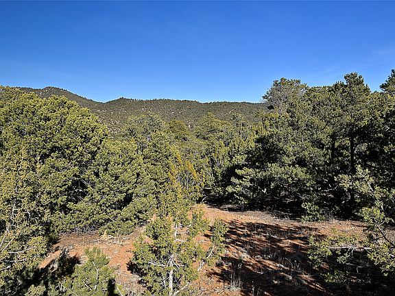 5th image of 202 Double Arrow Rd S