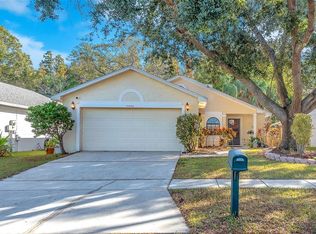10838 Peppersong Dr, Riverview, FL 33578