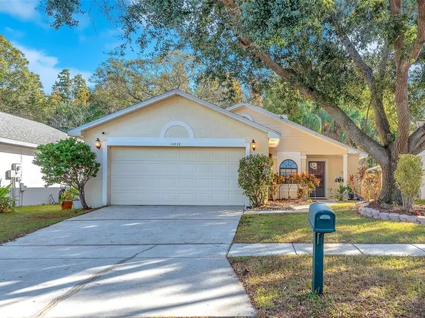 10838 Peppersong Dr, Riverview, FL 33578