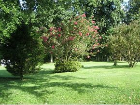 4th image of 147 Hilltop Dr
