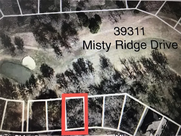 39311 Misty Ridge Dr, Whitney, TX 76692