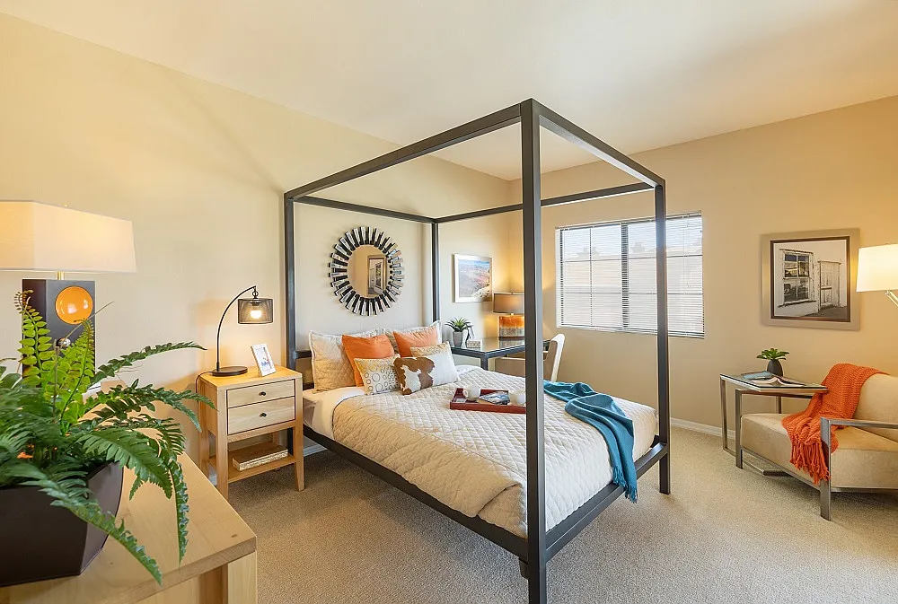 Oro Vista — Photo 4