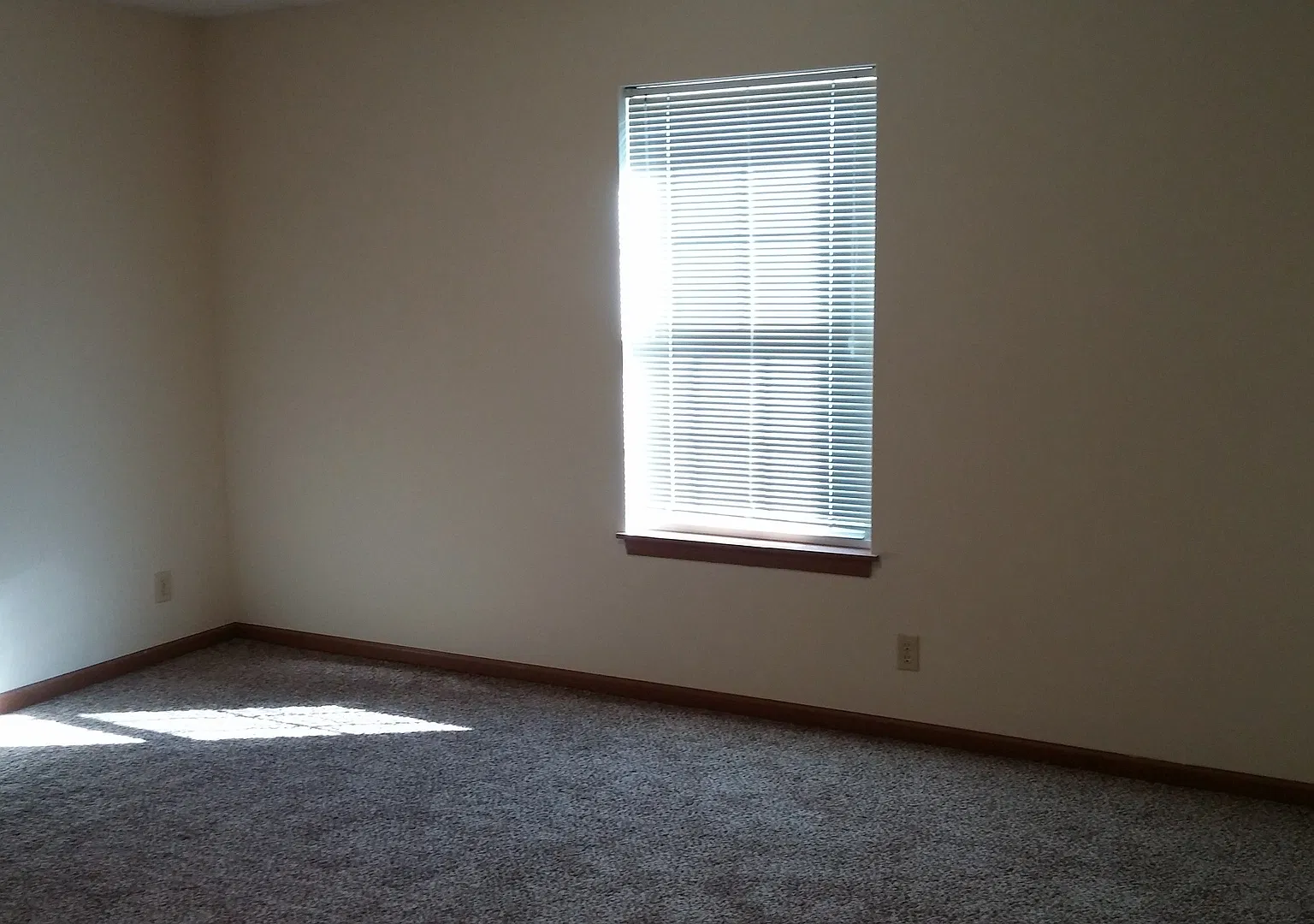 Pond Views & Modern Comfort in Lindberg Village — Photo 3