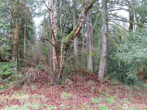 4th image of 235 Anchor Road