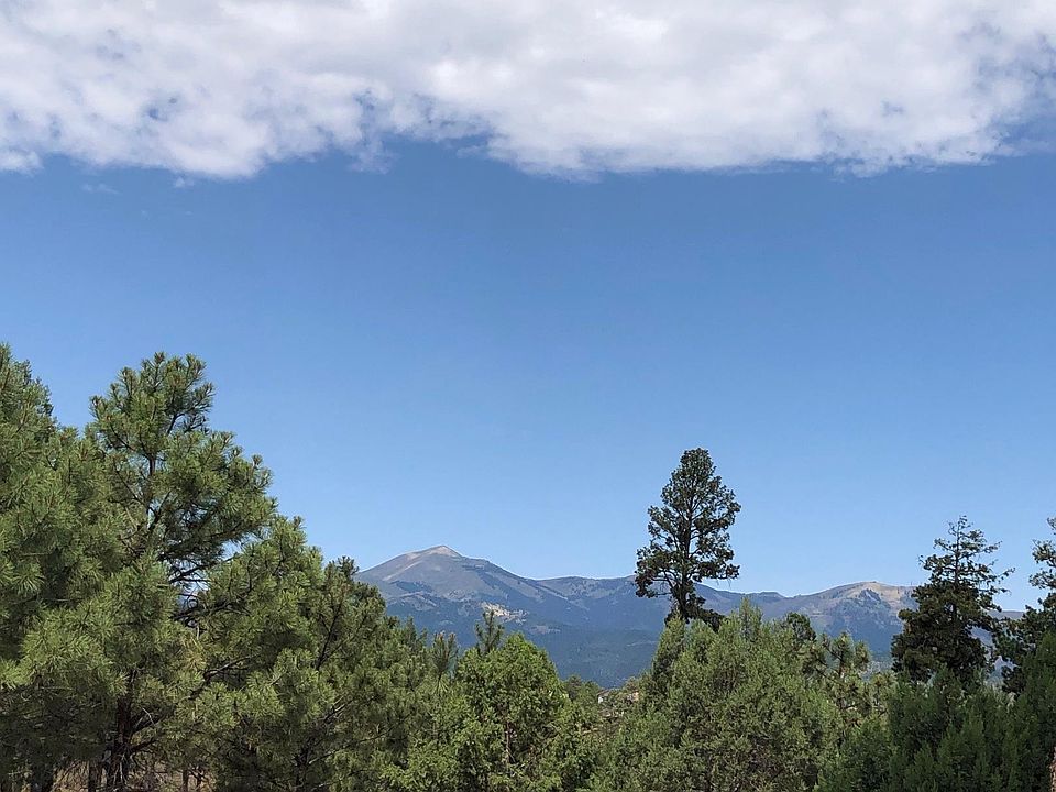 2nd image of 209 Timberline Pl