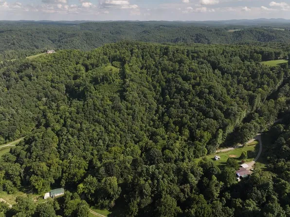 Griffith Creek Rd, Check, VA 24072