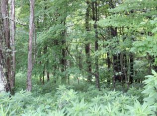 0 Mountain Rd, Elizabethton, TN 37643