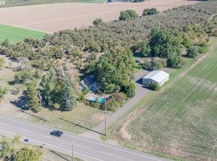 92815 River Rd, Junction City, OR 97448