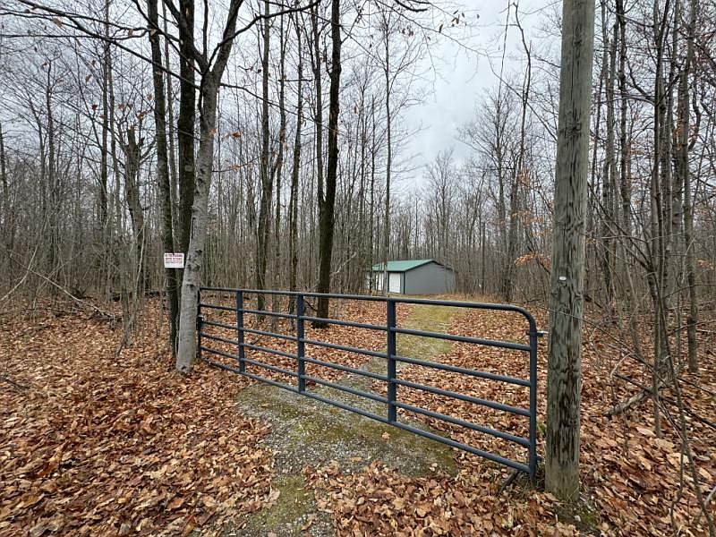 2nd image of 10286 Rust Rd