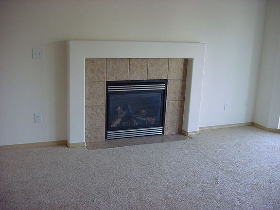 Living room fireplace