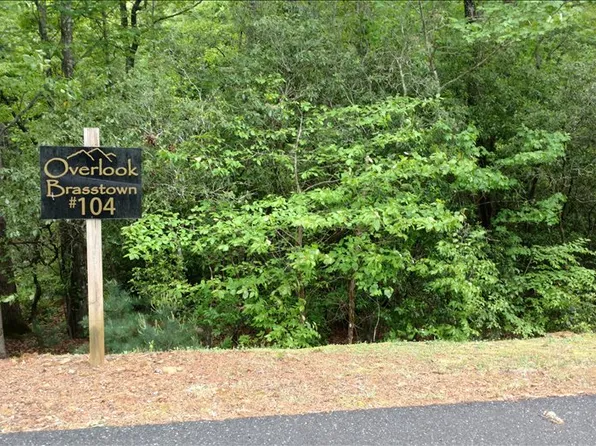 L-104 Brasstown Rd, Brasstown, NC 28902