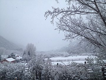 View from Dining Table