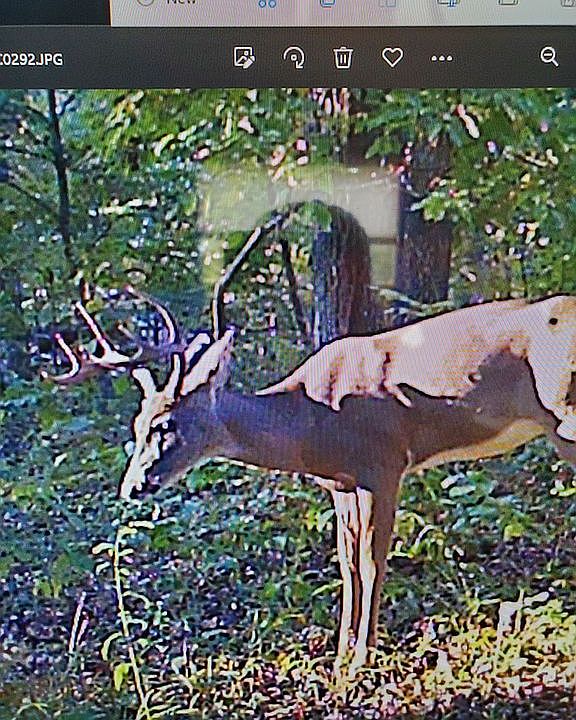 1st image of 26645 Highway 135
