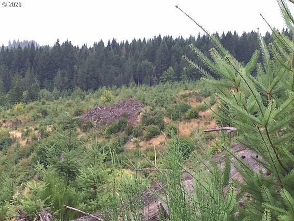 5th image of NW Ridge Rd