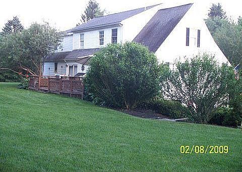 Rear Side