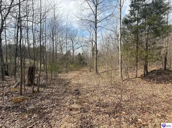 2867 Liberty Rd, Battletown, KY 40104