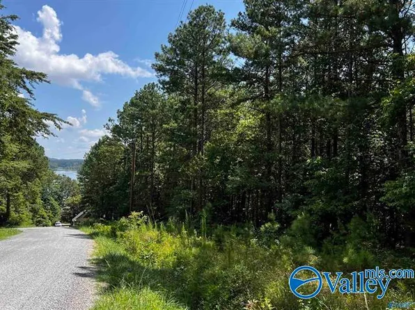 LOT 14 County Road 592, Leesburg, AL 35983