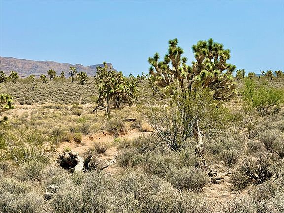 2nd image of 26681 Yucca Road