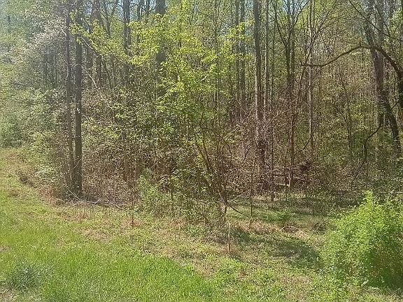 3rd image of 0 Mountain Rd