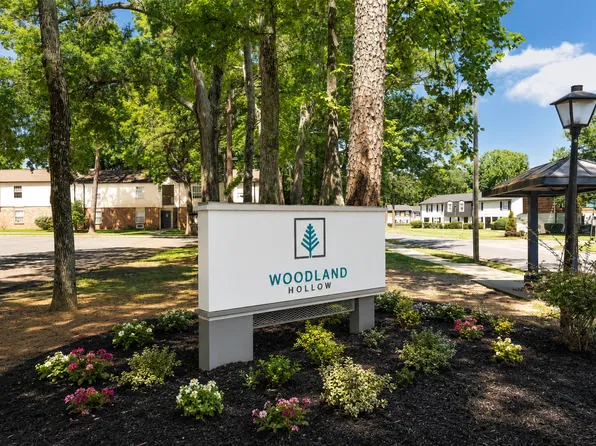 Woodland Hollow