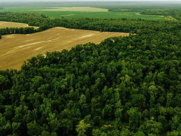 Rodney Bend Rd, Lorman, MS 39096