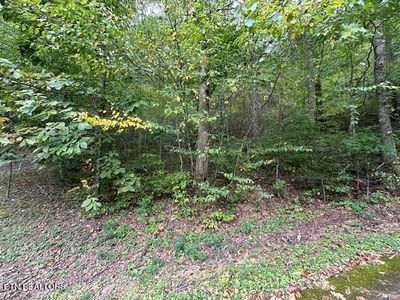 LOT-63R Bluestone Way, Townsend, TN, 37882