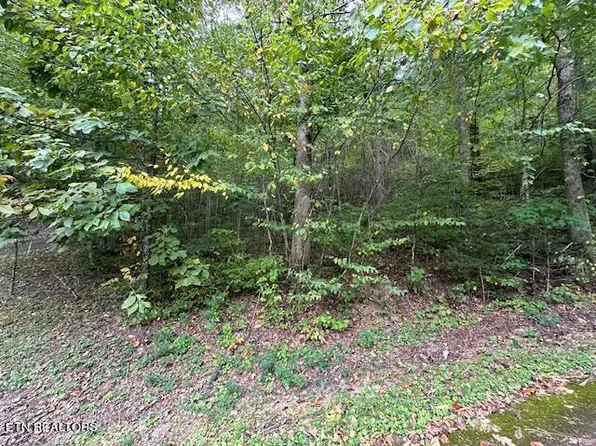 LOT-63R Bluestone Way, Townsend, TN 37882