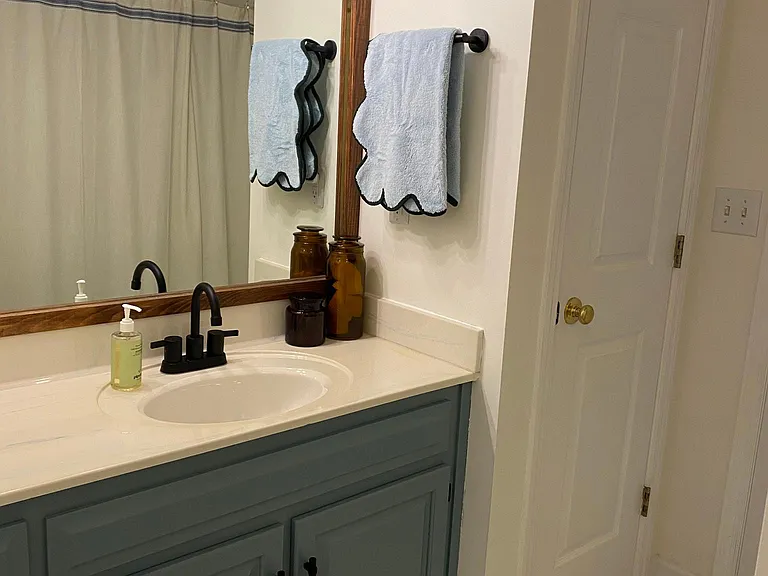 4405 Kings Lake Ct — Photo 10