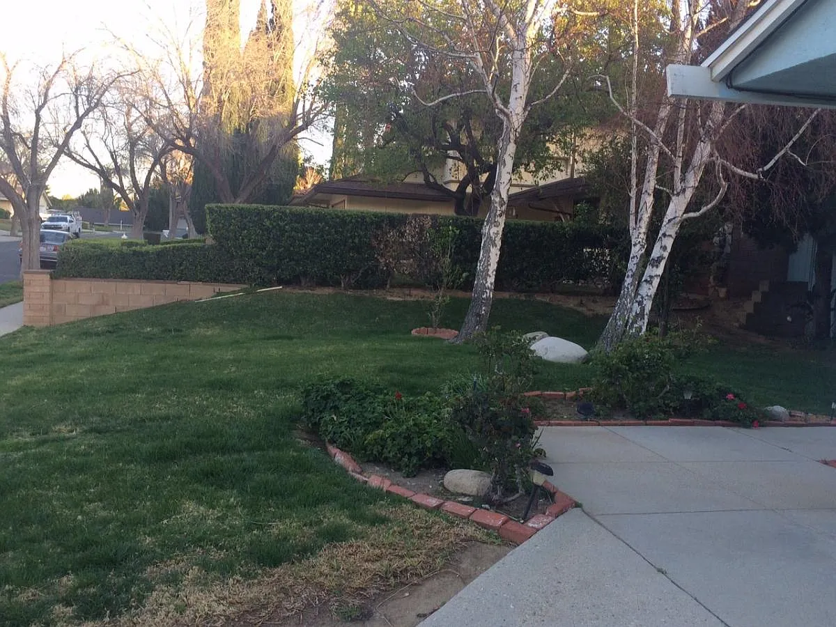 3 bed, 1770 sqft, $1,200 — Photo 3