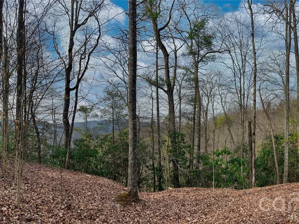 127 Bear River Lodge Trl, Marshall, NC 28753