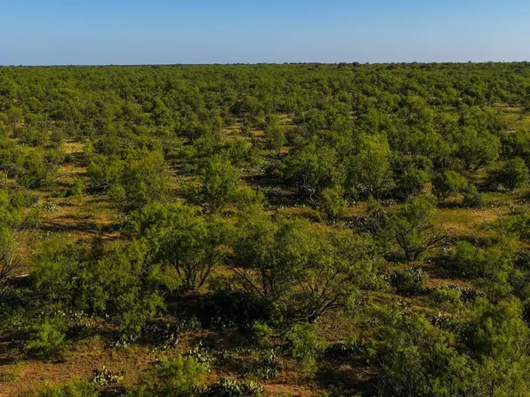 Carmack Rd, Graham, TX 76450