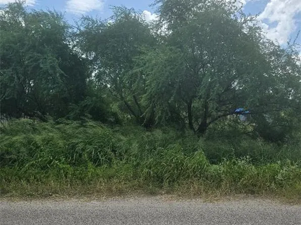 0 Mile 2 W #1/2, Weslaco, TX 78596