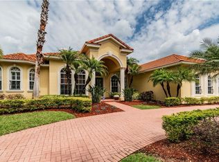 9818 Tree Tops Lake Rd, Tampa, FL 33626