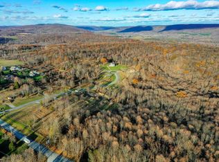 1 Delfina Dr, Lagrangeville, NY 12540