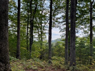 80 Paradise Aly, Russell Springs, KY, 42642