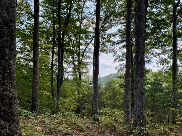 80 Paradise Aly, Russell Springs, KY 42642