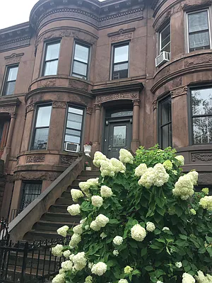 Rented by REMAX Elite | media 1