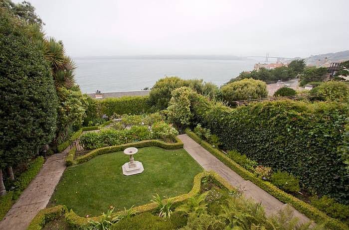 Yard/ garden