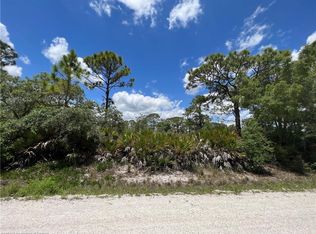 113 Bronson St NW, Lake Placid, FL 33852