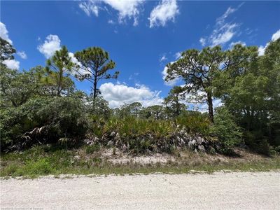 113 Bronson St NW, Lake Placid, FL, 33852