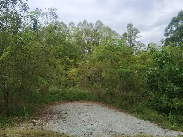 0 Waidsboro Rd, Ferrum, VA 24088