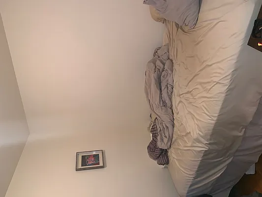 Rented by Chartwell Manhattan Realty | media 15