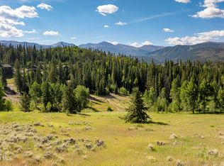 1996 Pioneer Trail, Fraser, CO 80442