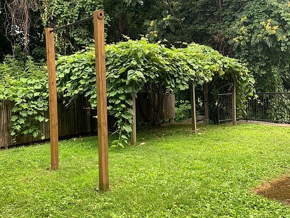 Back yard