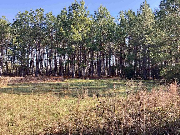 5th image of 108 Carlisle Rd