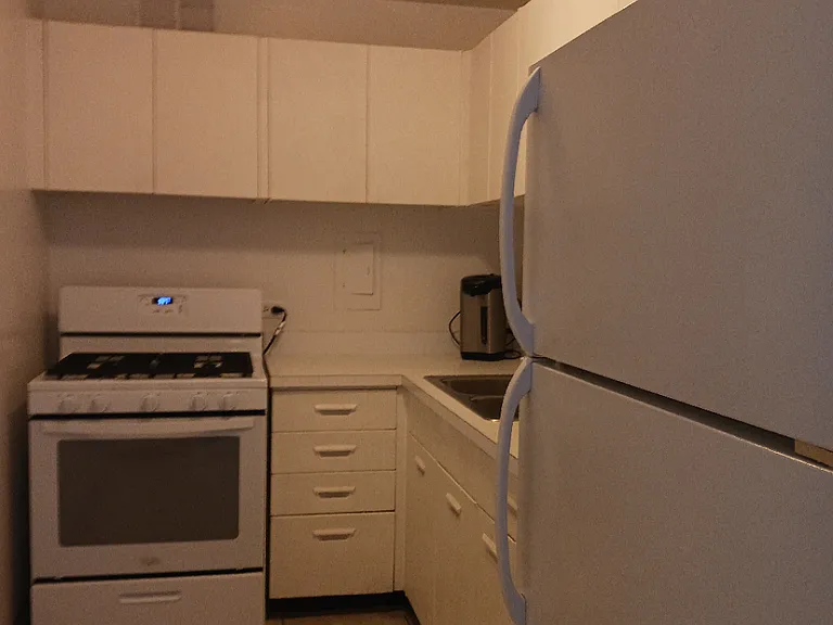1401 E 55th St #907N — Photo 5