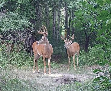 2830 185th Ave NE, Foley, MN, 56329