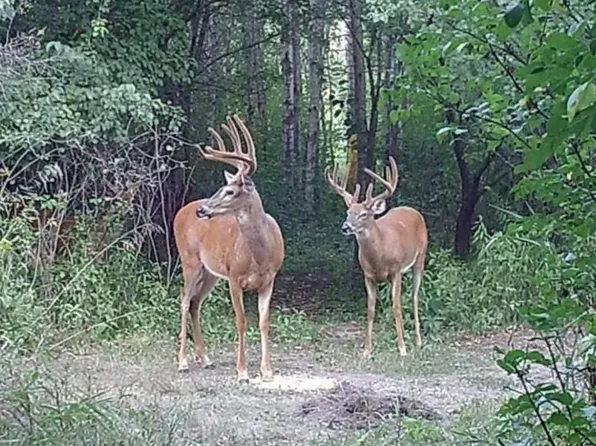 2830 185th Ave NE, Foley, MN 56329