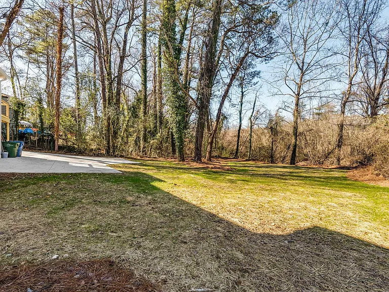 Backyard of the house